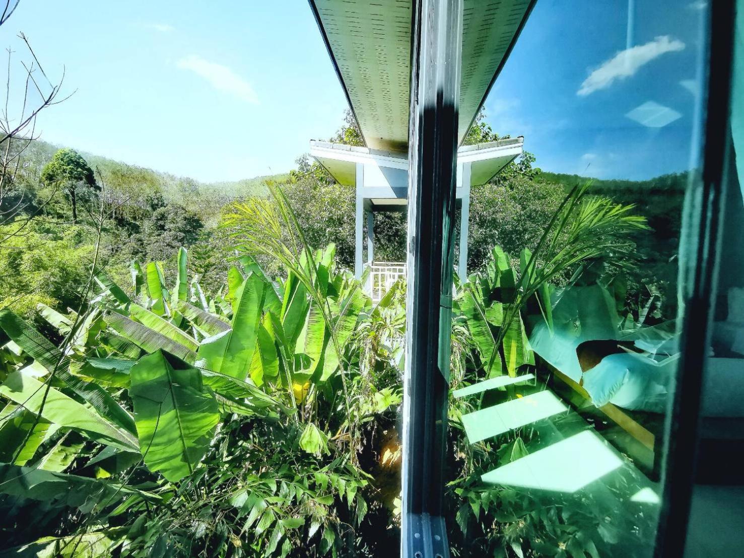 Bangnu Greenery Resort Takua Thung Ngoại thất bức ảnh