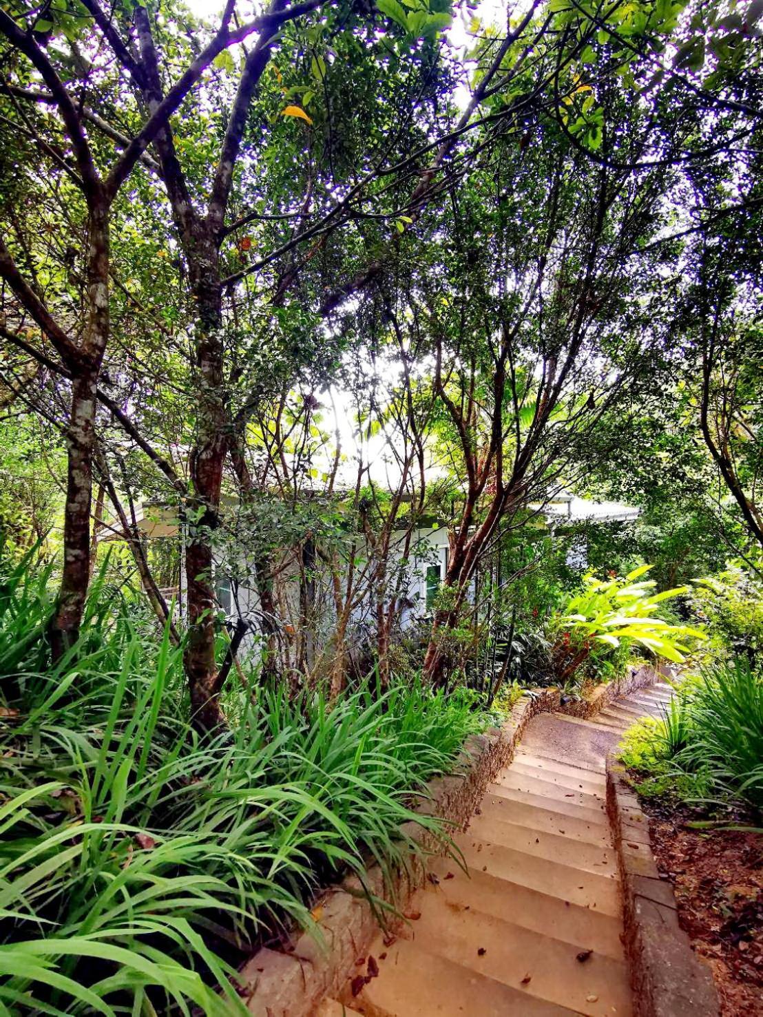 Bangnu Greenery Resort Takua Thung Ngoại thất bức ảnh