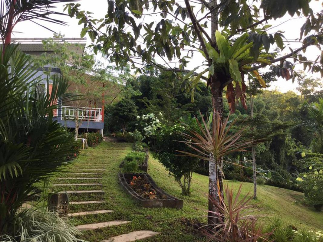 Bangnu Greenery Resort Takua Thung Ngoại thất bức ảnh