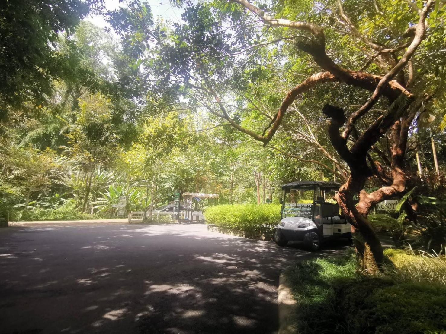 Bangnu Greenery Resort Takua Thung Ngoại thất bức ảnh