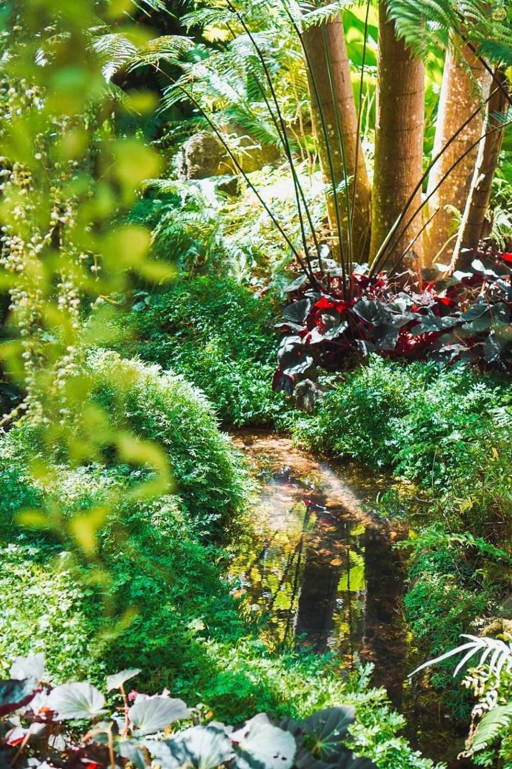 Bangnu Greenery Resort Takua Thung Ngoại thất bức ảnh