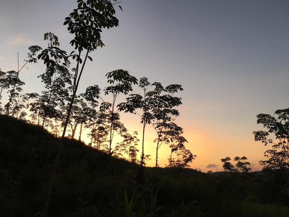 Bangnu Greenery Resort Takua Thung Ngoại thất bức ảnh
