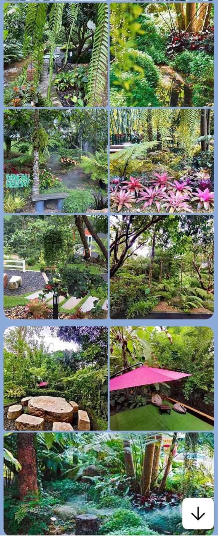 Bangnu Greenery Resort Takua Thung Ngoại thất bức ảnh